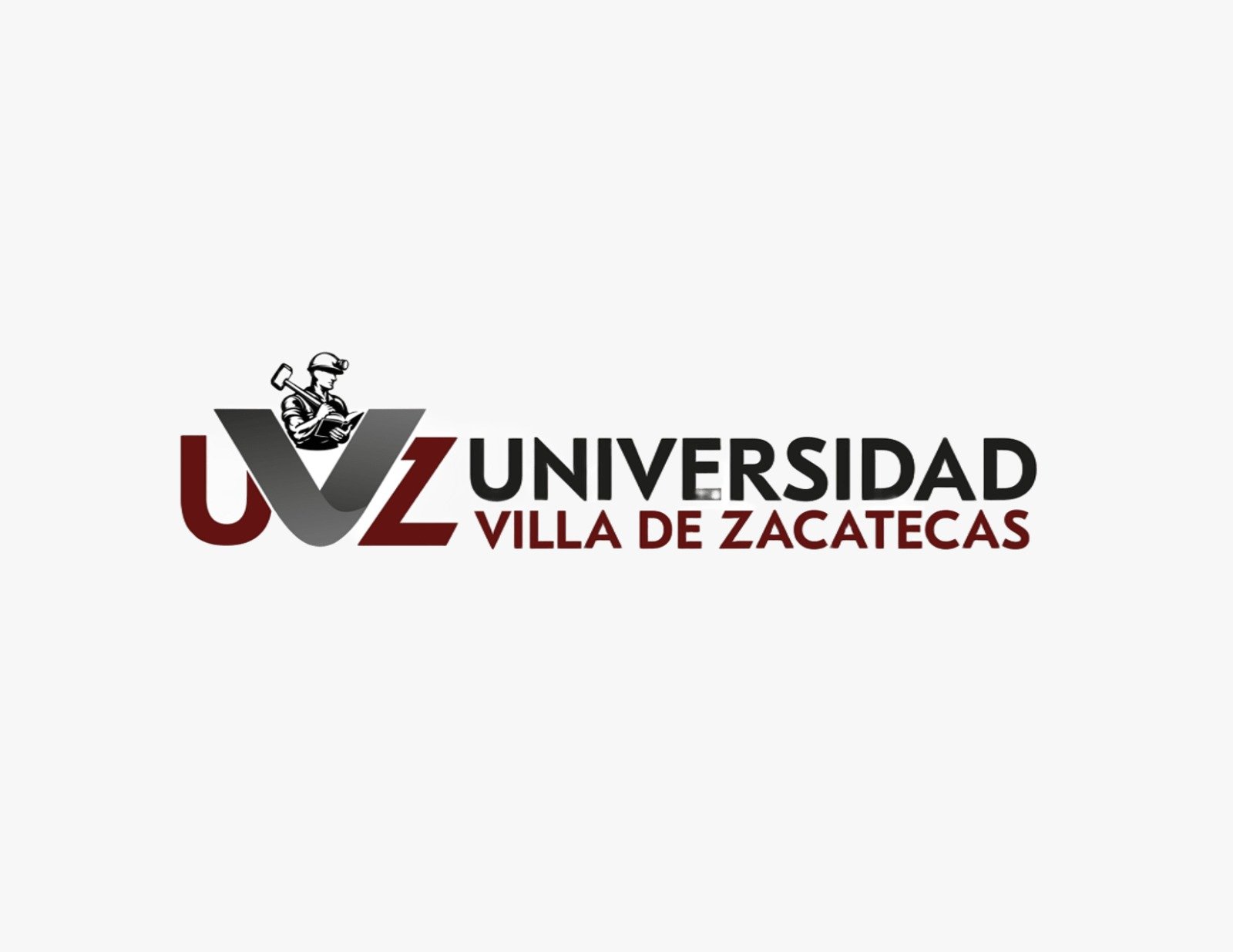 Universidad Villa de Zacatecas